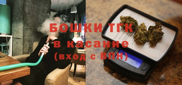 гидропоника Алзамай