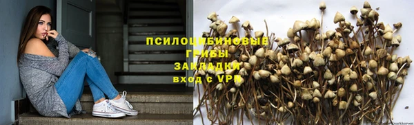 стаф Краснослободск