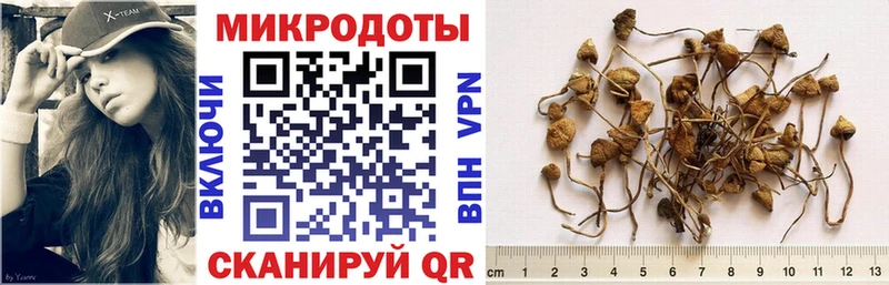 Галлюциногенные грибы ЛСД  hydra вход  Курлово 